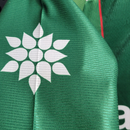 CAMISA RETRO VERDÃO 1999