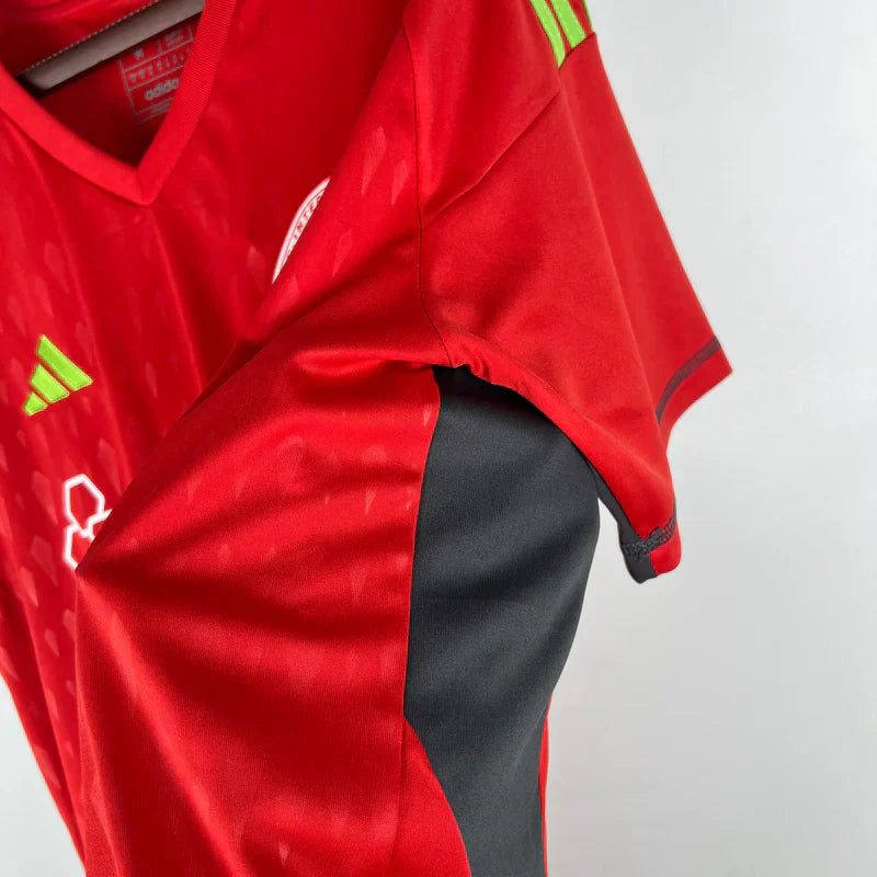 Camisa  Masculina Internacional I 2023/24 - Goleiro